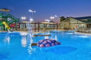 turtle in pool at night grapevine water park