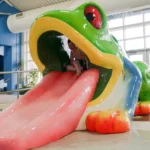 boy playing on frog shaped water slide